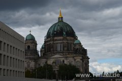 DSC_0433