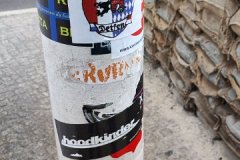 IMG_20210802_181935