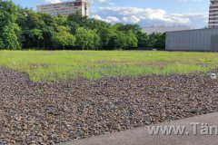 IMG_20210802_184747