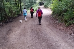 20150820_150404