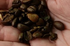 1_IMG_20210802_154607