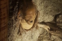 20180329_124047