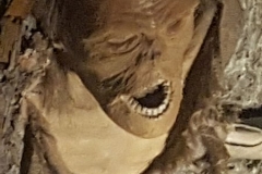 20180329_124050
