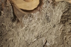 20180329_124101