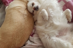 20170424_140049