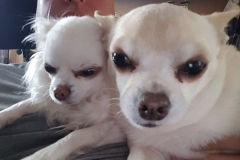 20170428_102046