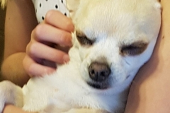 20170505_111635