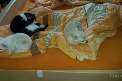 20180220_121142