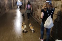 IMG_20220526_123114