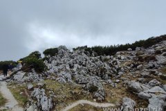 IMG_20220526_131925