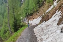 IMG_20220526_135926