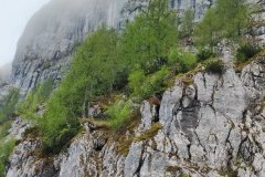 IMG_20220526_140016
