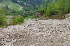 IMG_20220526_140331