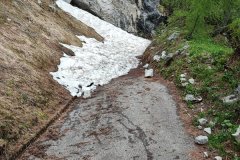 IMG_20220526_140818