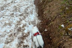 IMG_20220526_140835