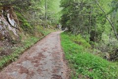 IMG_20220526_142733