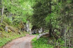IMG_20220526_142737