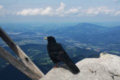 IMG-20190805-WA0017