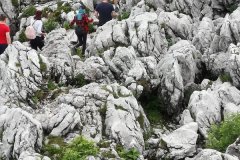 IMG-20190805-WA0030