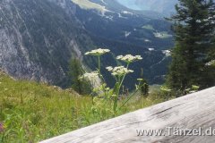 IMG-20190805-WA0038