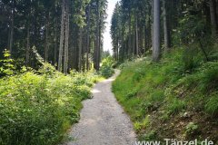 IMG_20190804_120533