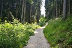 IMG_20190804_120535