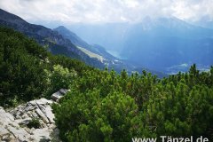 IMG_20190804_154407