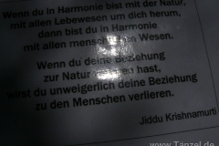 P1330915