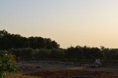 urlaubhaus011