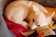 IMG-20181207-WA0000
