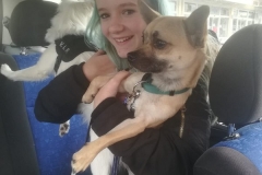 IMG-20181221-WA0003
