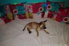 IMG-20181224-WA0058