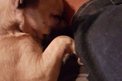 IMG-20190101-WA0025