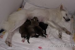 Lucy Leo Luna Aria Madox Kobi