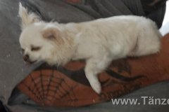 IMG-20180614-WA0014