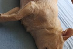 IMG-20180717-WA0013