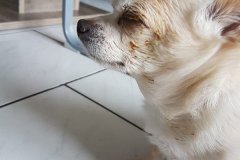 IMG-20180722-WA0004