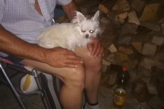 IMG-20180728-WA0062