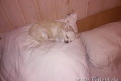 IMG-20180806-WA0030