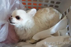 IMG-20180930-WA0072