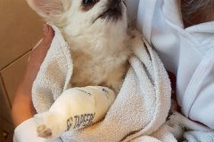 IMG-20180930-WA0073