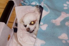 IMG-20181001-WA0018