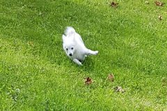 IMG-20181007-WA0058