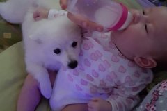 IMG-20181007-WA0059