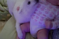 IMG-20181007-WA0060