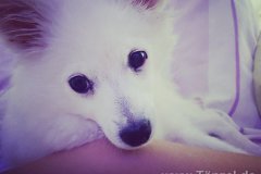 IMG-20181007-WA0067