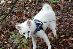 IMG-20181007-WA0108