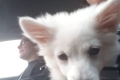 IMG-20181007-WA0114