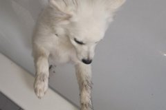 IMG-20181009-WA0028