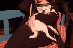 IMG-20181012-WA0029